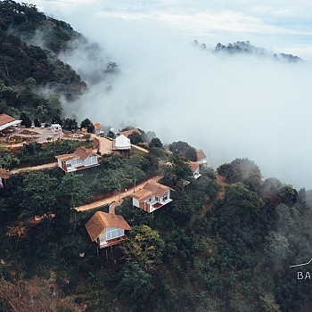 Overview