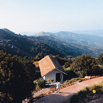 Overview