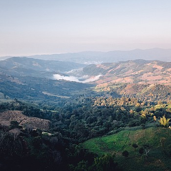 Overview