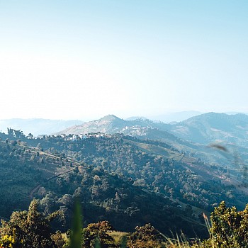 Overview